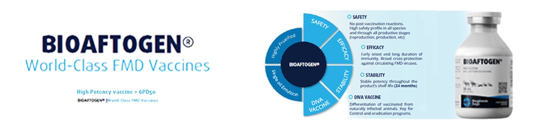 Bioaftogen | World Class FMD Vaccines